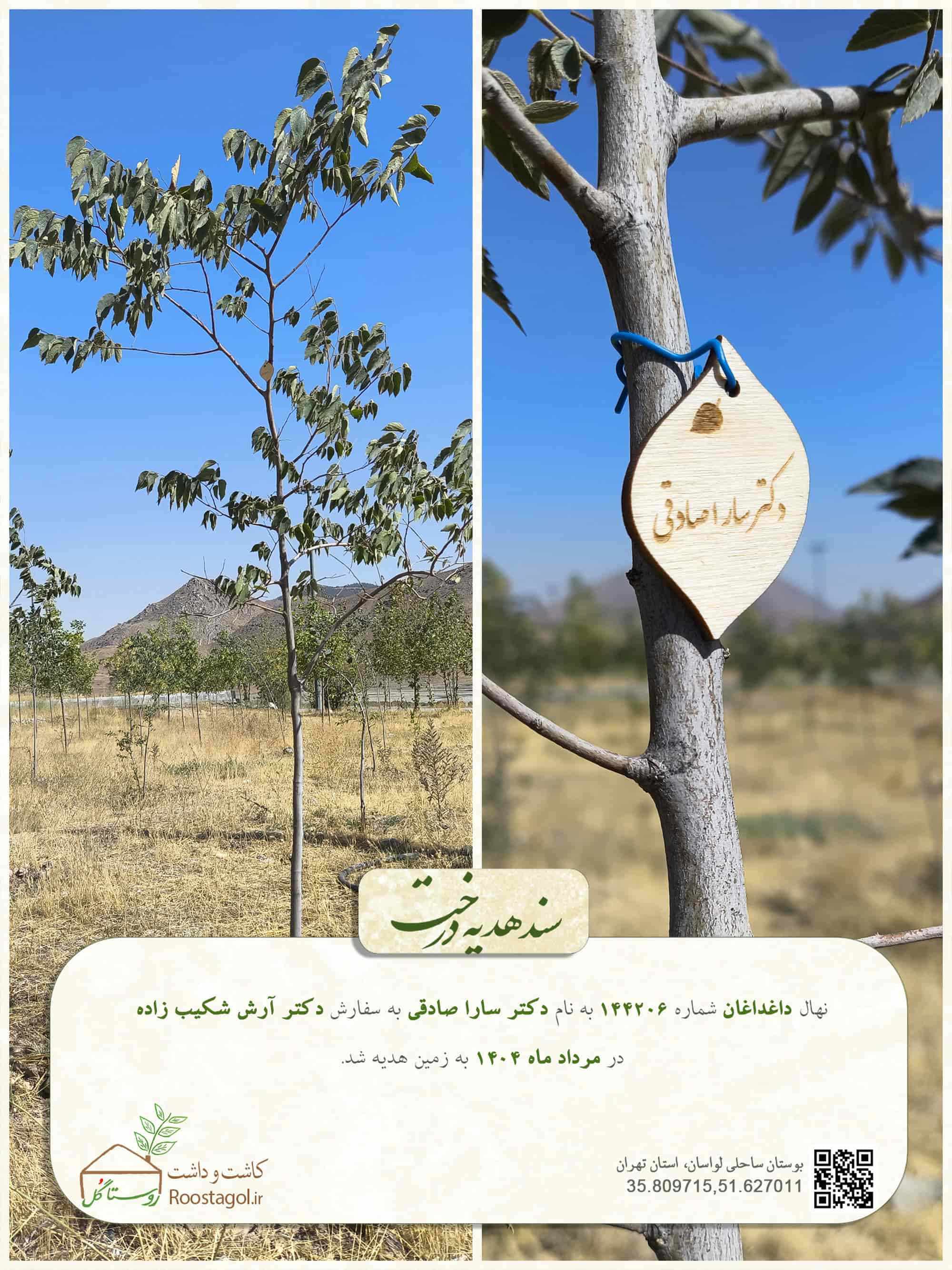 دکتر سارا صادقی